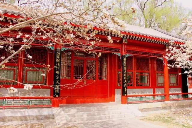 心有所愿，行而成立—在北大國發(fā)院MBA的那些年華與成長