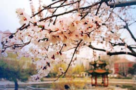 2019年北京交通大學(xué)工商管理碩士（MBA）招生簡章