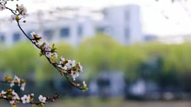 重要通知 | 東華大學旭日工商管理學院2019年入學復試分數(shù)線確定