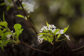 【放榜啦】上海財(cái)經(jīng)大學(xué)2019年入學(xué)MBA擬錄取通知發(fā)布！