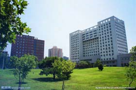 學(xué)子榮譽(yù) l 尖烽時(shí)刻二零一九，商院學(xué)子再創(chuàng)輝煌