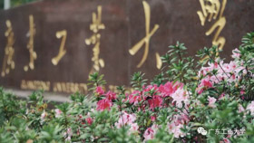 重磅！廣工首次入榜泰晤士高等教育世界大學排名前1000名！