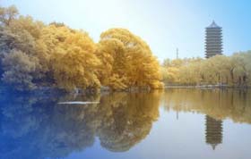 商學(xué)新時(shí)代，教育新力量——北大光華MBA教育發(fā)展合作論壇圓滿舉辦