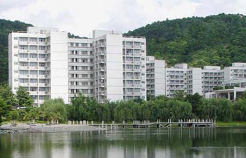 中國學(xué)者——廣東工業(yè)大學(xué)管理學(xué)院院長張德鵬