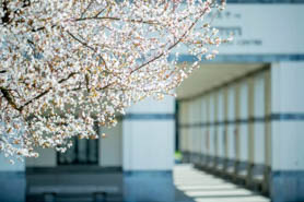 疫情會(huì)不會(huì)影響申請(qǐng)？請(qǐng)看中歐MBA致申請(qǐng)人的這封信