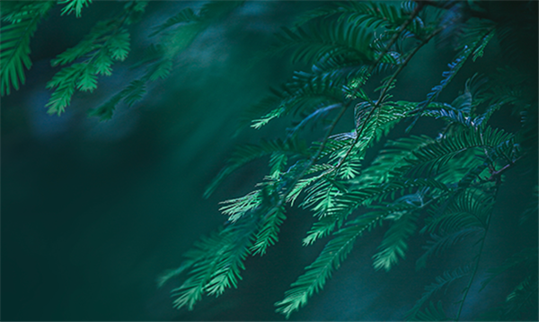 抗疫｜中國農業(yè)大學MBA國際合作項目留學生抗疫日常