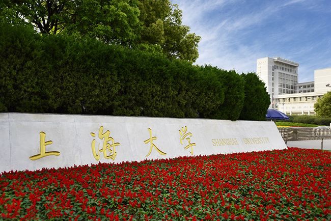 上大MBA師之灼見丨金江波：疫情時(shí)期的藝術(shù)與非藝術(shù)