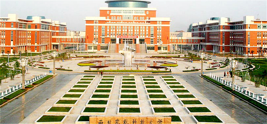 西北農(nóng)林科技大學(xué)2020年非全日制MBA調(diào)劑通知