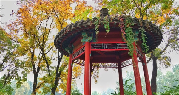 【5.27| 北大國發(fā)院EMBA聯(lián)合主辦】“在逆境中開辟未來”暨《心：稻盛和夫的一生囑托》新書發(fā)布會