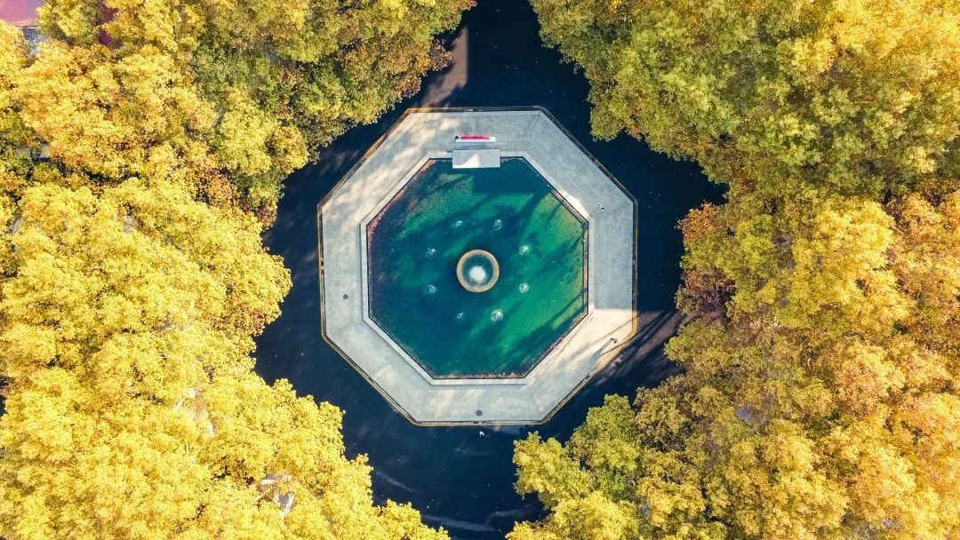 MBA報(bào)考 | 東南大學(xué)2024年工商管理碩士（MBA）報(bào)名流程