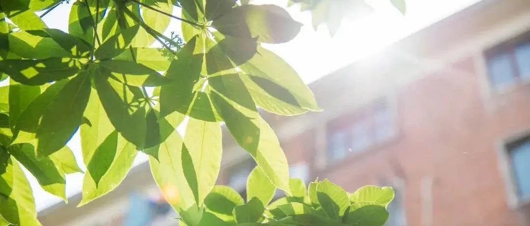 “求是?先鋒”體驗(yàn)營｜2026年人大商學(xué)院MBA申請全面開啟