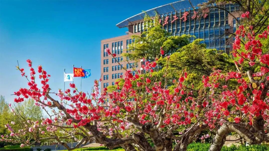 2025央廣網(wǎng)MBA暨專業(yè)學(xué)位研究生教育年度盛典：北京工業(yè)大學(xué)MBA