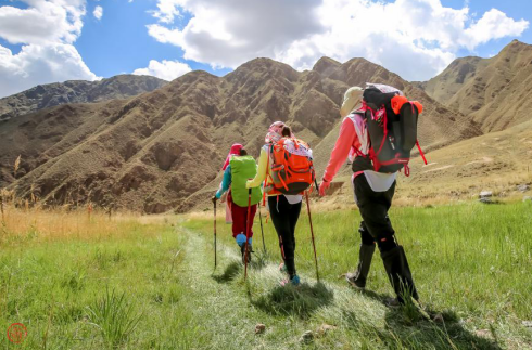 1529029268234102.png 1529029268234102.png