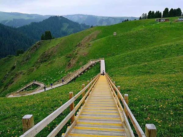 1531712624327527.jpg 微信圖片_20180716114151-4.jpg