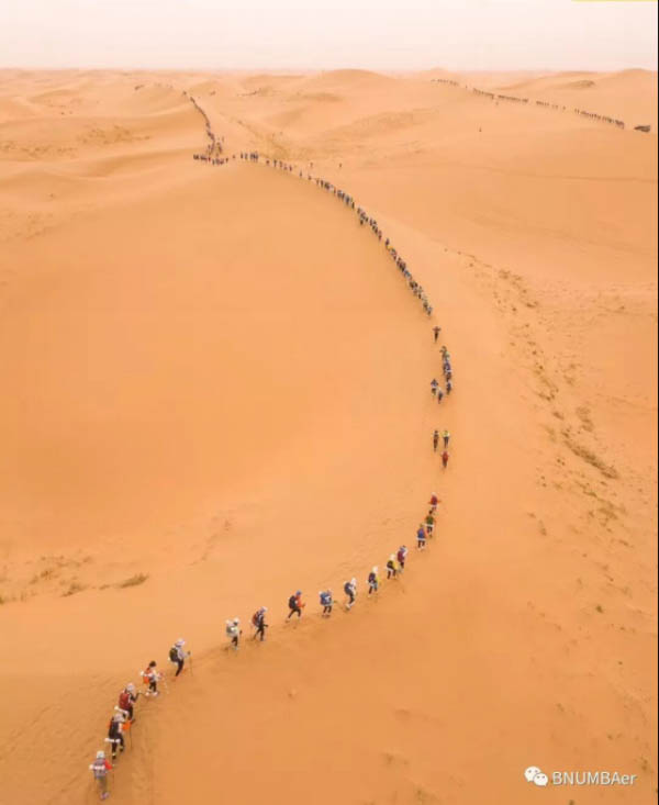 1533627695964555.jpg 20180523153335098246-14.jpg