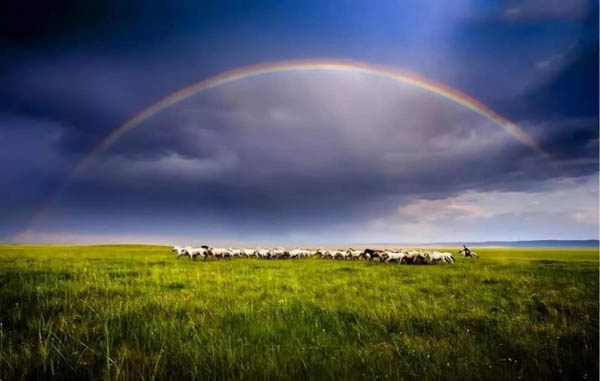 1533630644536127.jpg 20180718141614130456-1.jpg