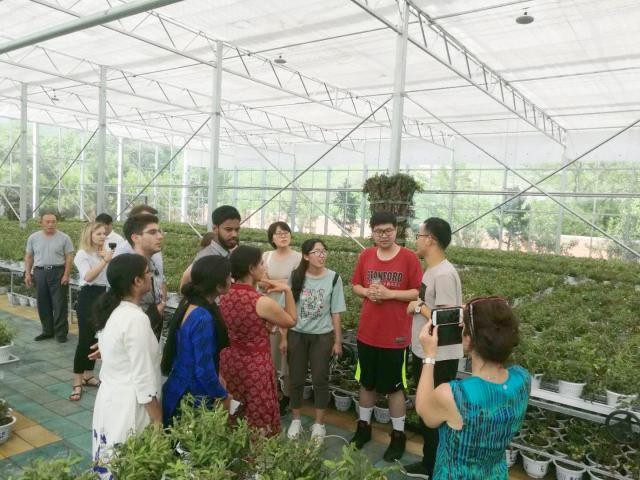 1536315846920912.jpg 1536315846920912.jpg