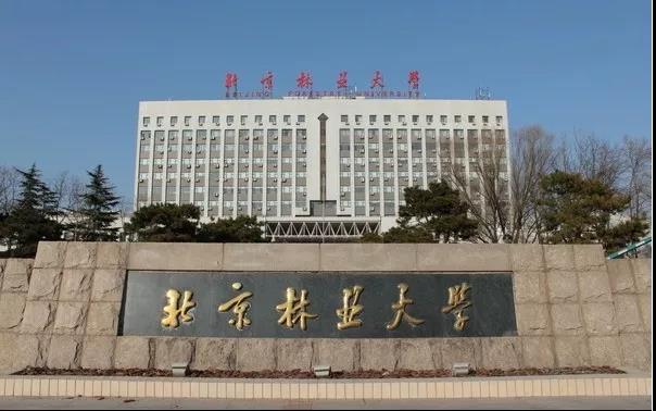 1550653573517309.jpg 1550653573517309.jpg