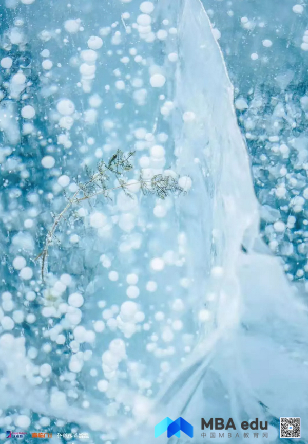 1551692297471505.jpg 20190304-17.jpg