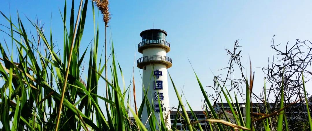 1552901450992454.jpg 1552901450992454.jpg