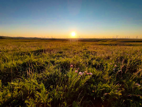 1563531113540258.jpg 11.jpg