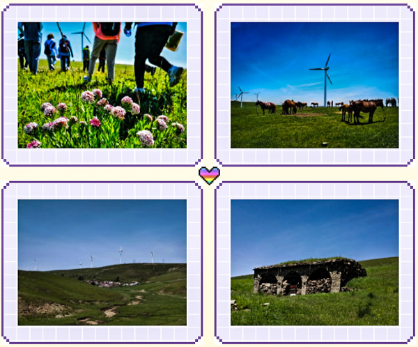 1563531196320910.jpg 截圖3.jpg