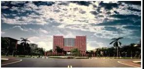 1564050877119284.jpg 4.jpg