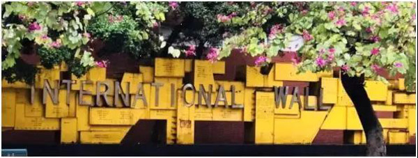 1564050964768240.jpg 8.jpg