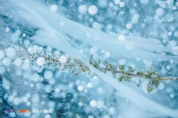 1569319844607209.jpg MBAedu-20190924180319.JPG