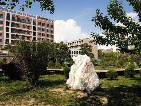 1569485001533866.jpg p00035573.jpg