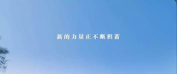 1571315141434939.jpg 微信圖片_20191017201635.jpg