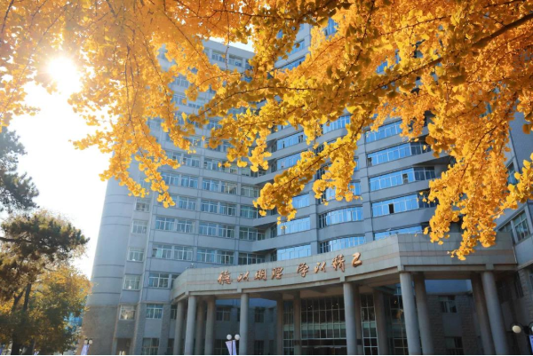 1571826583593449.png image.png