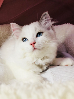 1571987394816625.jpg 未命名-4.jpg