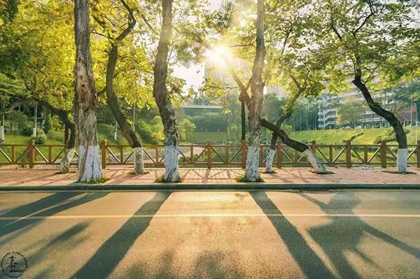 1572320777946954.jpg 18.jpg