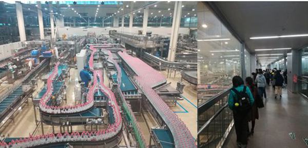 1572501892989427.jpg 5.jpg