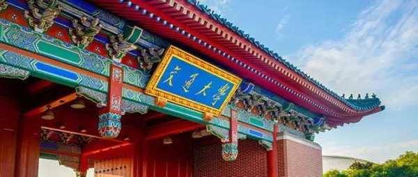 1573110433557593.jpg 1.jpg