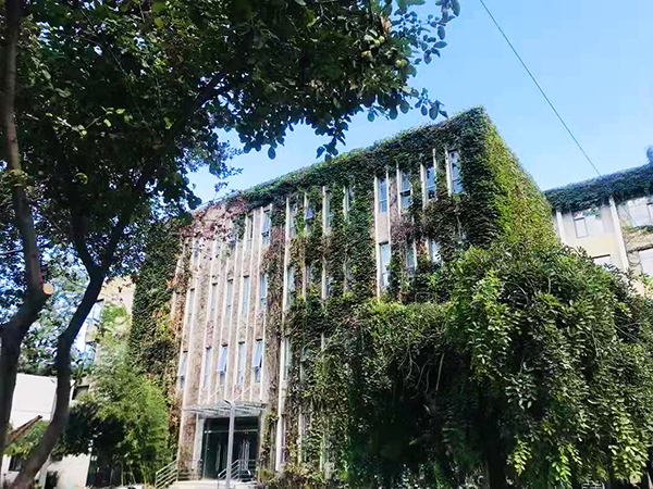 1573455954506609.jpg 6.jpg