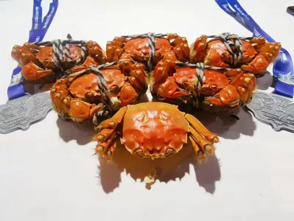 1573463813971897.jpg 30.jpg