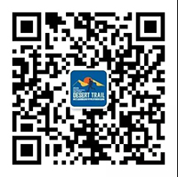 1573463875277375.jpg 0.jpg