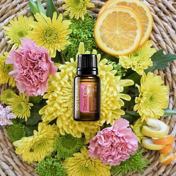 1574752732395934.jpg 5.jpg