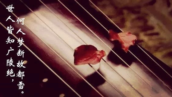 1574752749379479.jpg 10.jpg