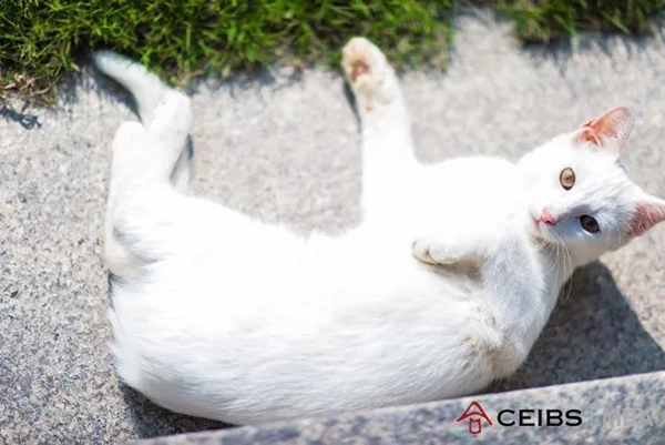 1574754439865545.jpg 10.jpg