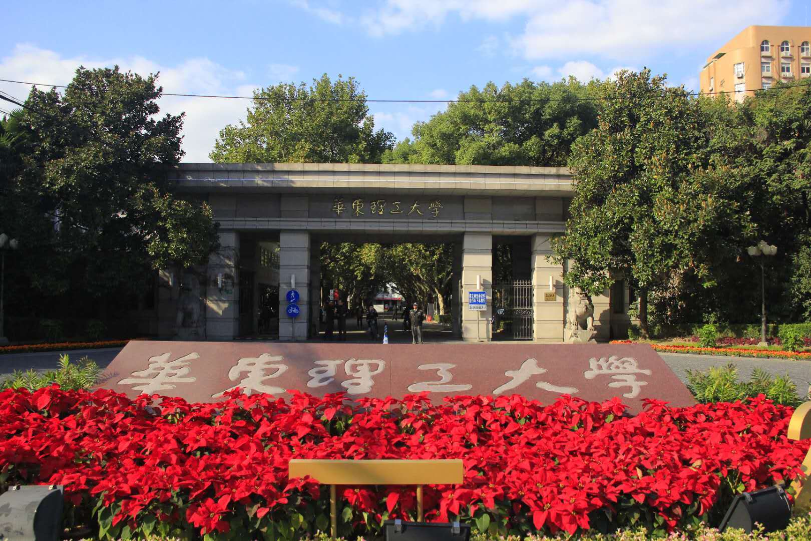 1557905985411039610.jpg 1557905985411039610.jpg