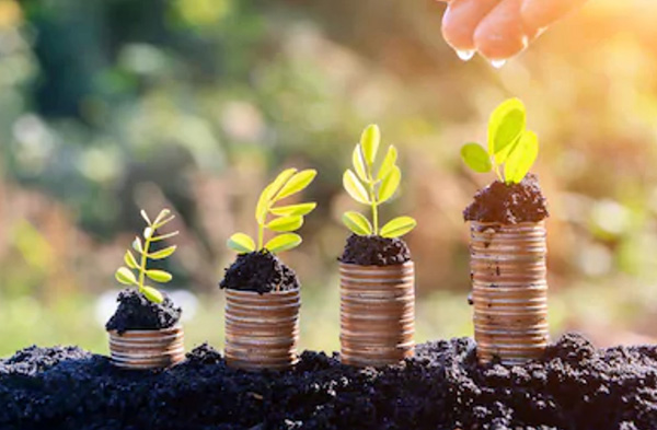 1584347437479961.jpg 8.jpg