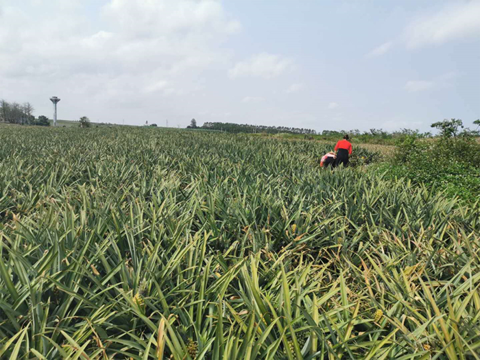 1585911054235332.png 2.png