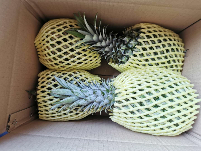 1585911071794595.png 3.png