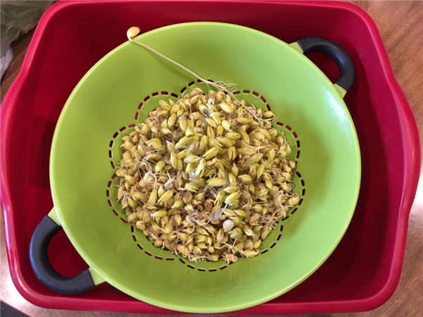 1586166906812649.png 6.png