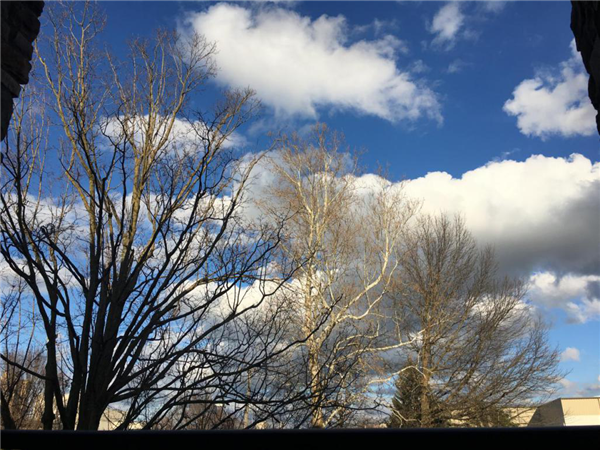 1586167057225373.png 16.png