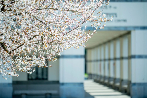 1587874291708658.jpg 1.jpg