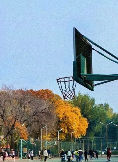 1762164577901431.jpg 9.jpg